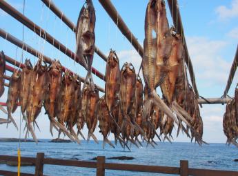 生鮮蛋 公司宅配測試